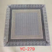 4c2ae92395a6440590d026028a620861